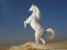 White_Horse_-_best_computer_backgrounds