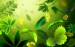 Free_nature_clipart_background