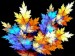 Petals_and_Leaves_computer_background_pictures